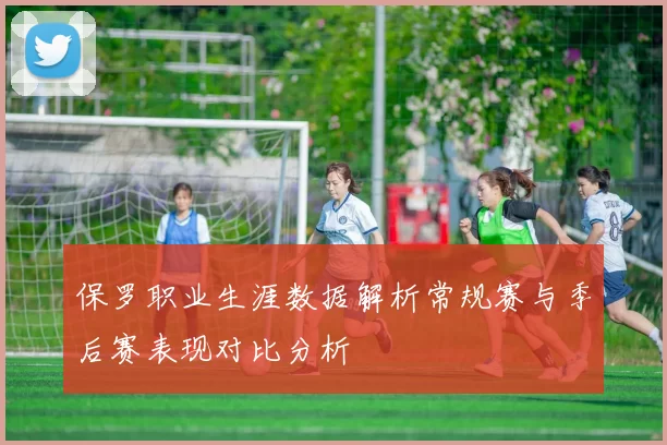 保罗职业生涯数据解析常规赛与季后赛表现对比分析