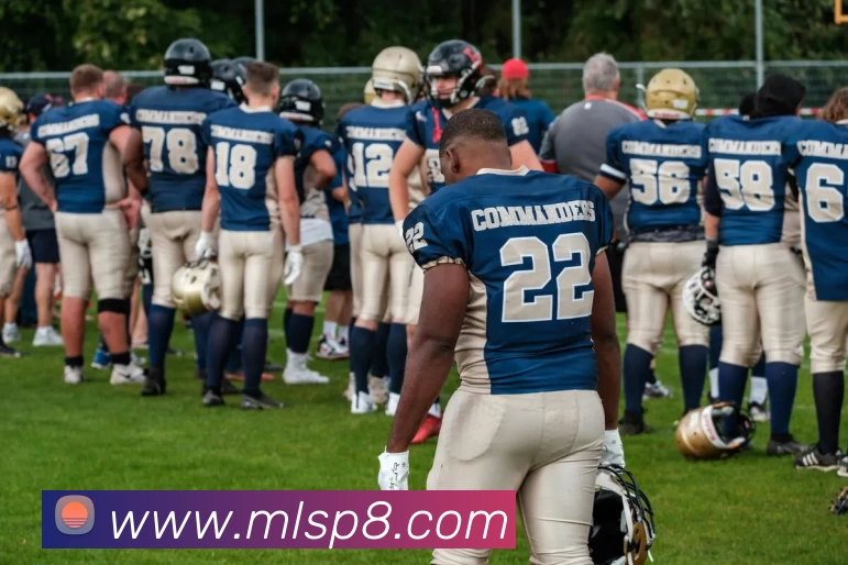 米兰体育APP 封面图